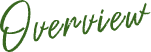 overview